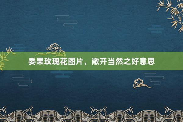 委果玫瑰花图片，敞开当然之好意思