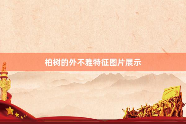 柏树的外不雅特征图片展示
