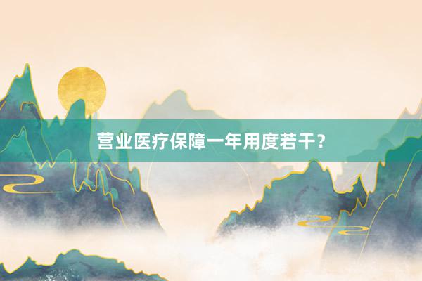 营业医疗保障一年用度若干？
