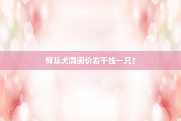 柯基犬阛阓价若干钱一只？