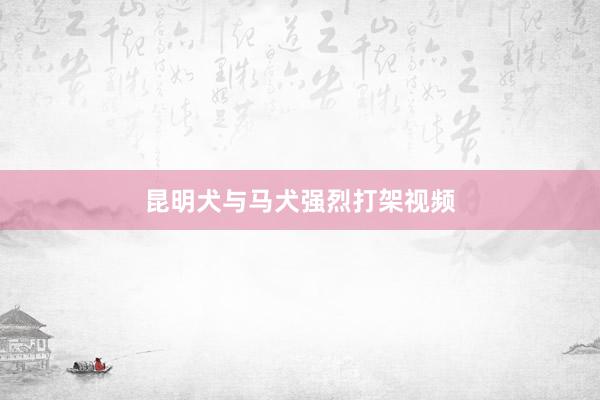 昆明犬与马犬强烈打架视频
